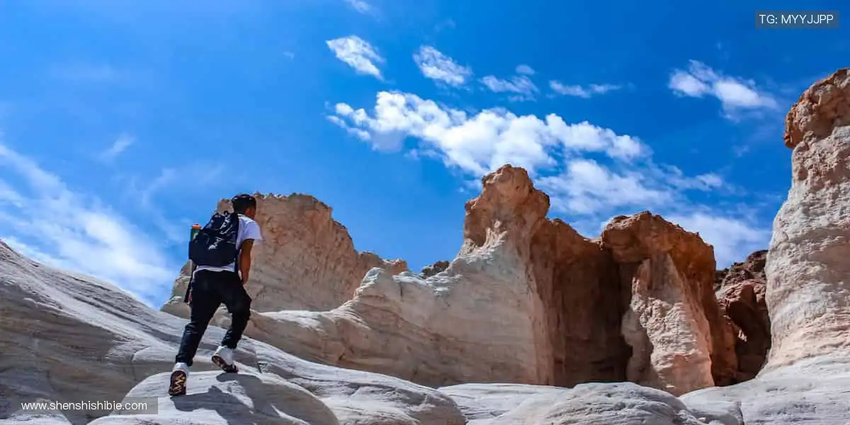 🎯实时比分,指尖掌控全球赛事动态!